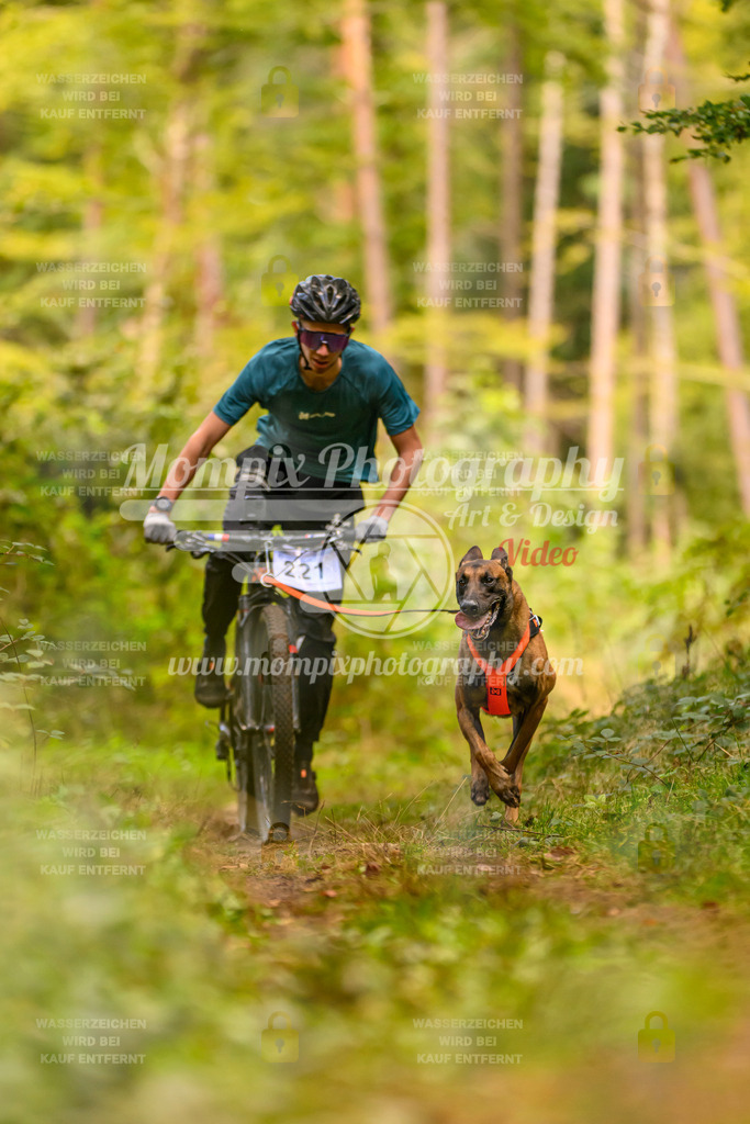 MompixPhotography_Yens2025_B2-132 | PayLife