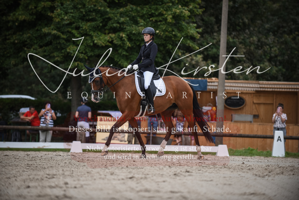 DSC_8423 | Pferde- und Turnierfotografie in Westsachsen. Pferdeportraits, Auftragszeichnungen und intuitive Kunst.