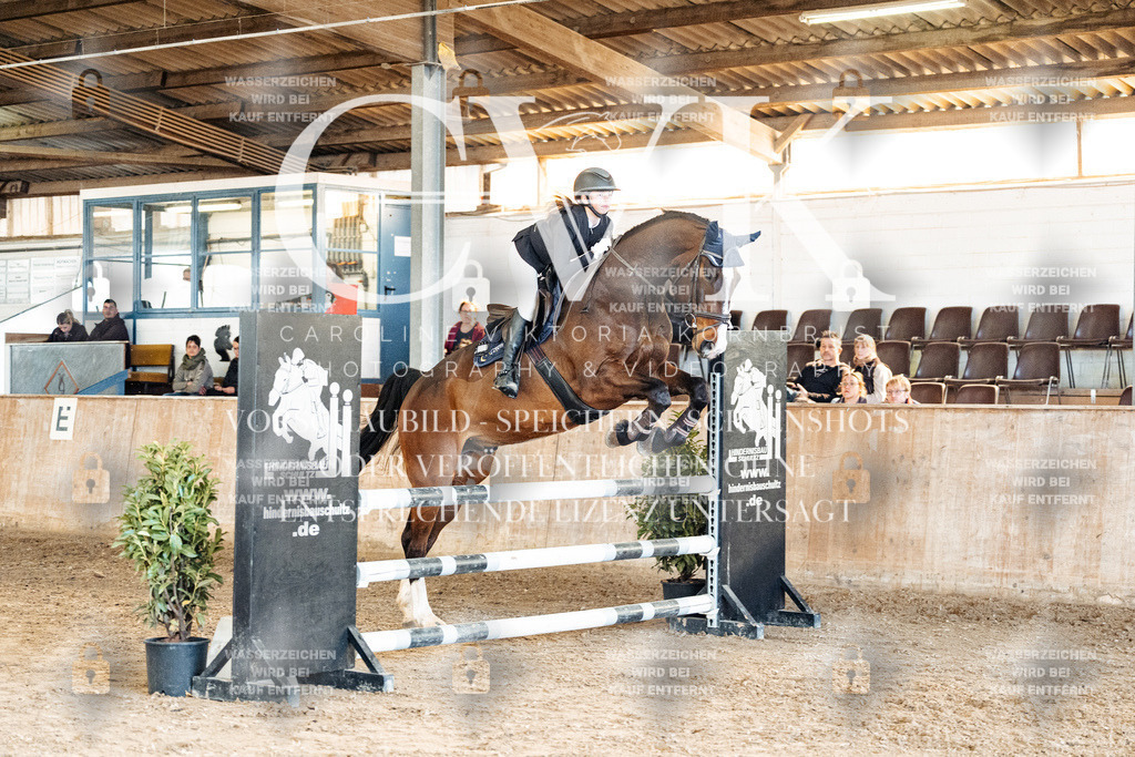 CK905191 | Turnierfotografie Pferdefotografie Trier Rheinland-Pfalz Pferdesport Reitsport Tierfotografie Sportfotografie Pferdevideo Pferdevideografie Equestrianvideography equestrianphotography  - Realized with Pictrs.com