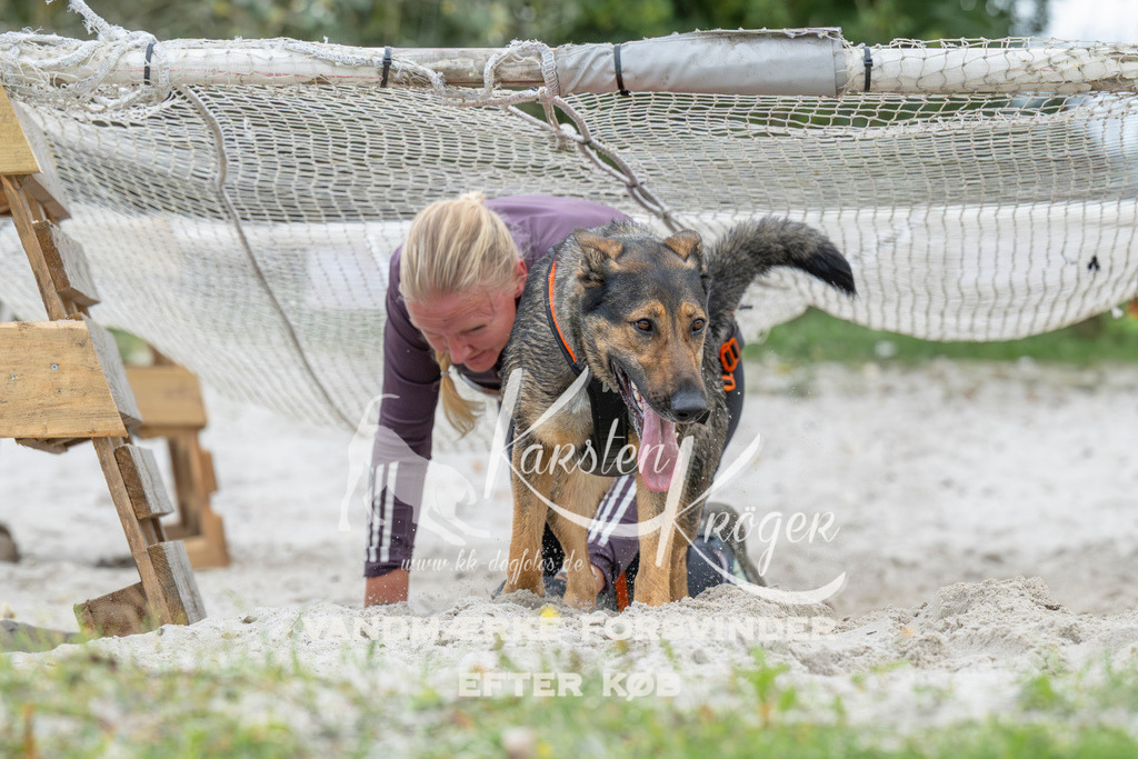 1039_ZZ94773 | kk-dogfotos