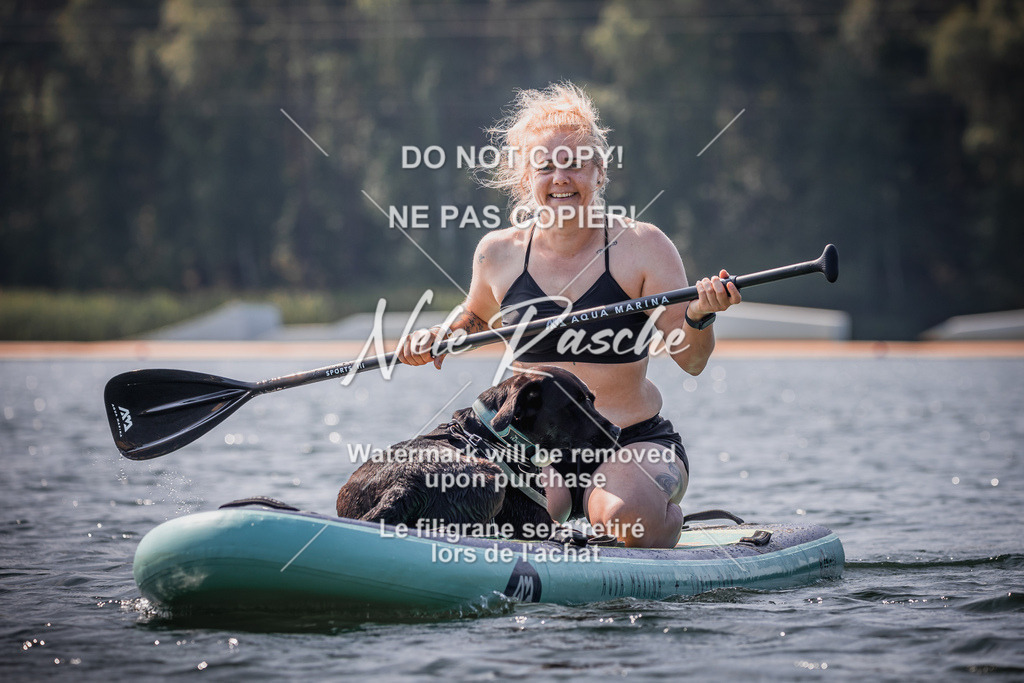 BUHU_SUP_455 | nelerasche