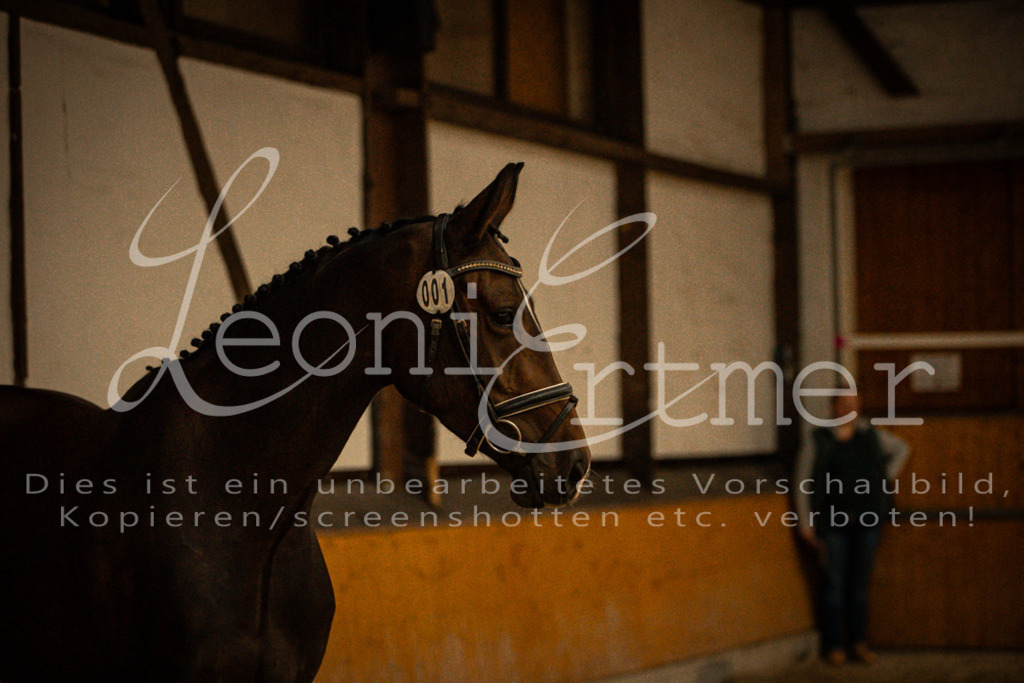 1FS_L00012 | Leoni Ertmer Photography - Realisiert mit Pictrs.com