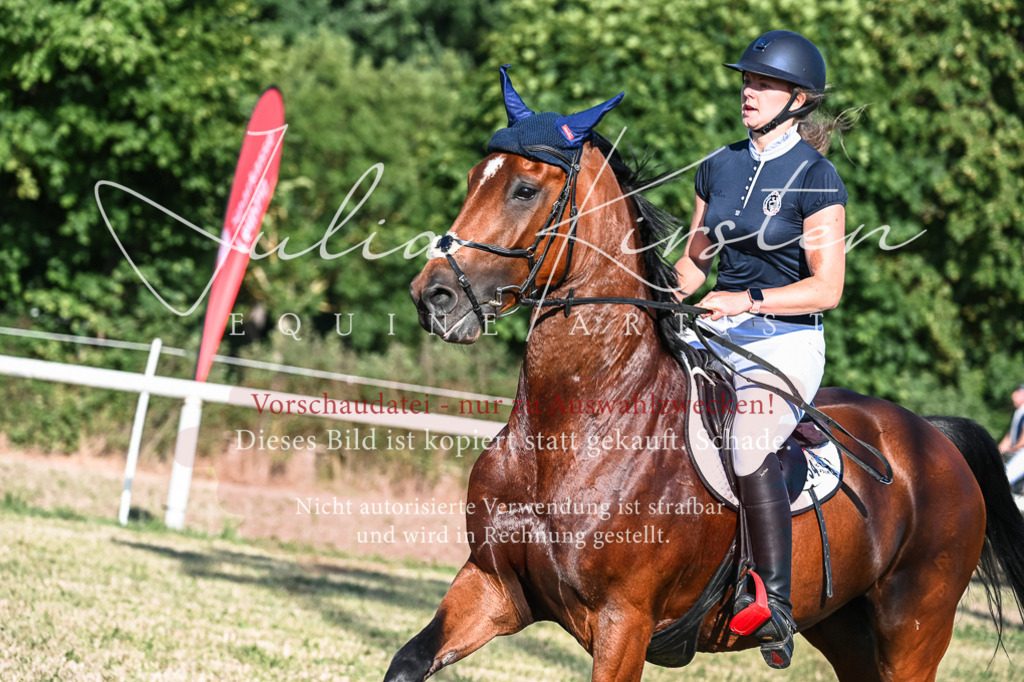 DSC_2906 | Pferde- und Turnierfotografie in Westsachsen. Pferdeportraits, Auftragszeichnungen und intuitive Kunst.