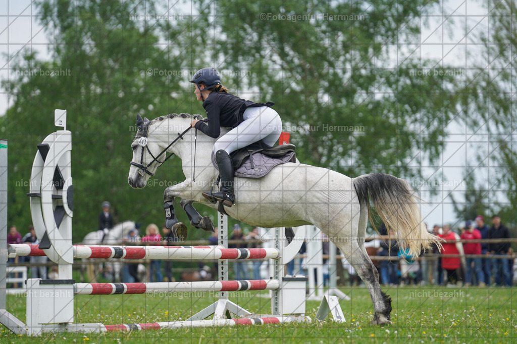 20240509-FAH02624 | Turnierbilder der Turnierfotografen Bayern, Pferdesport Fotografie, Reitsportbilder, Turnier Landberg am Lech, Turnierbilder bayern, Fotoagentur Herrmann
