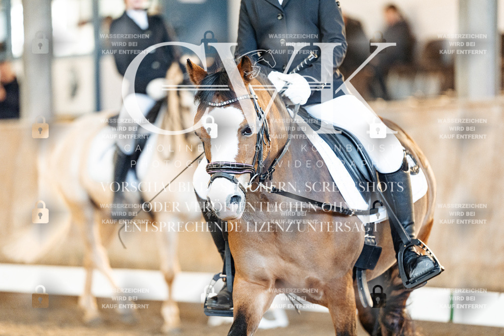 CK907498 | Turnierfotografie Pferdefotografie Trier Rheinland-Pfalz Pferdesport Reitsport Tierfotografie Sportfotografie Pferdevideo Pferdevideografie Equestrianvideography equestrianphotography  - Realisiert mit Pictrs.com
