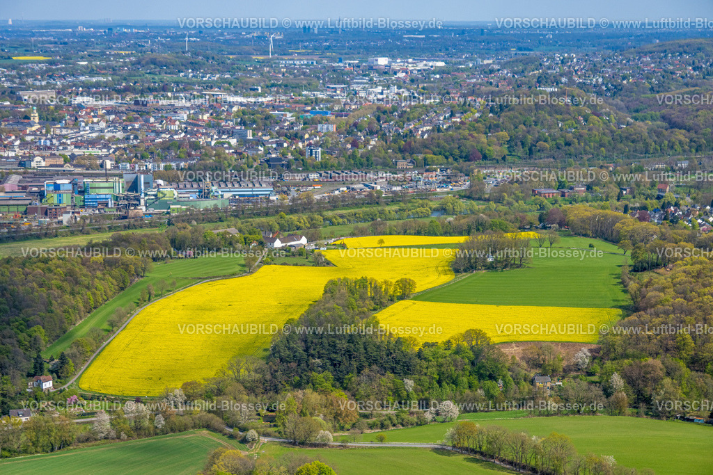 Witten260401743 | Luftbild, Rapsfelder an der Frielinghauser Straße mit Schloss Steinhausen, Blick zum Edelstahlwerk und über Witten, Bommern, Witten, Ruhrgebiet, Nordrhein-Westfalen, Deutschland
