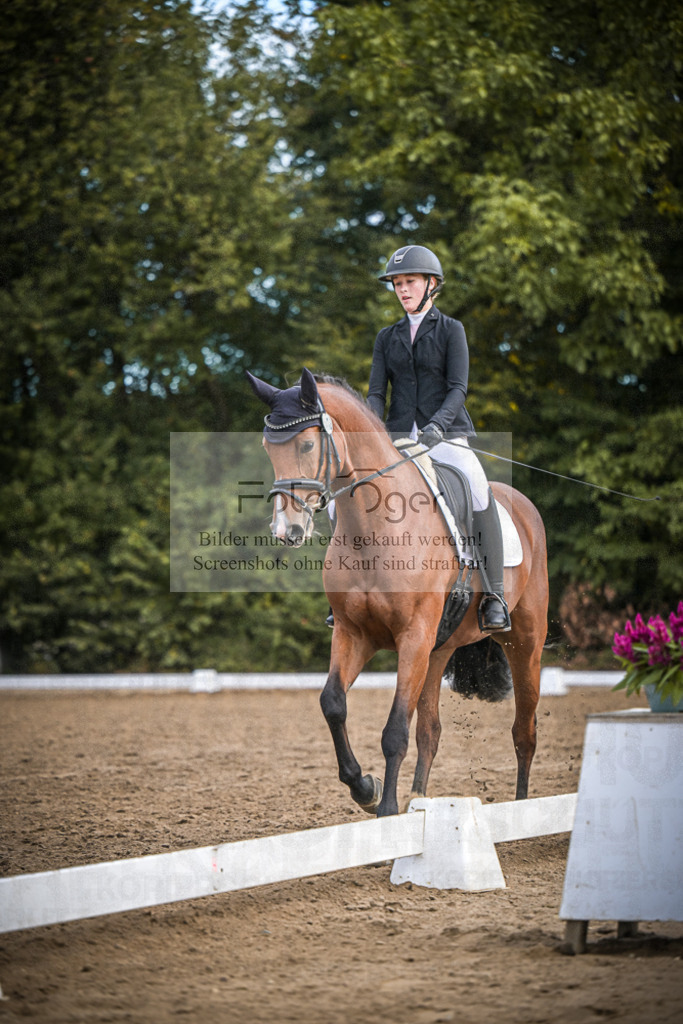 DOS_1674 | Entdecke hochwertige Reitturnierfotos von Foto Oger. Professionell, emotional und authentisch – jetzt Lieblingsmomente im Shop bestellen.Deutschlandweite Turnierfotografie. - Realisiert mit Pictrs.com
