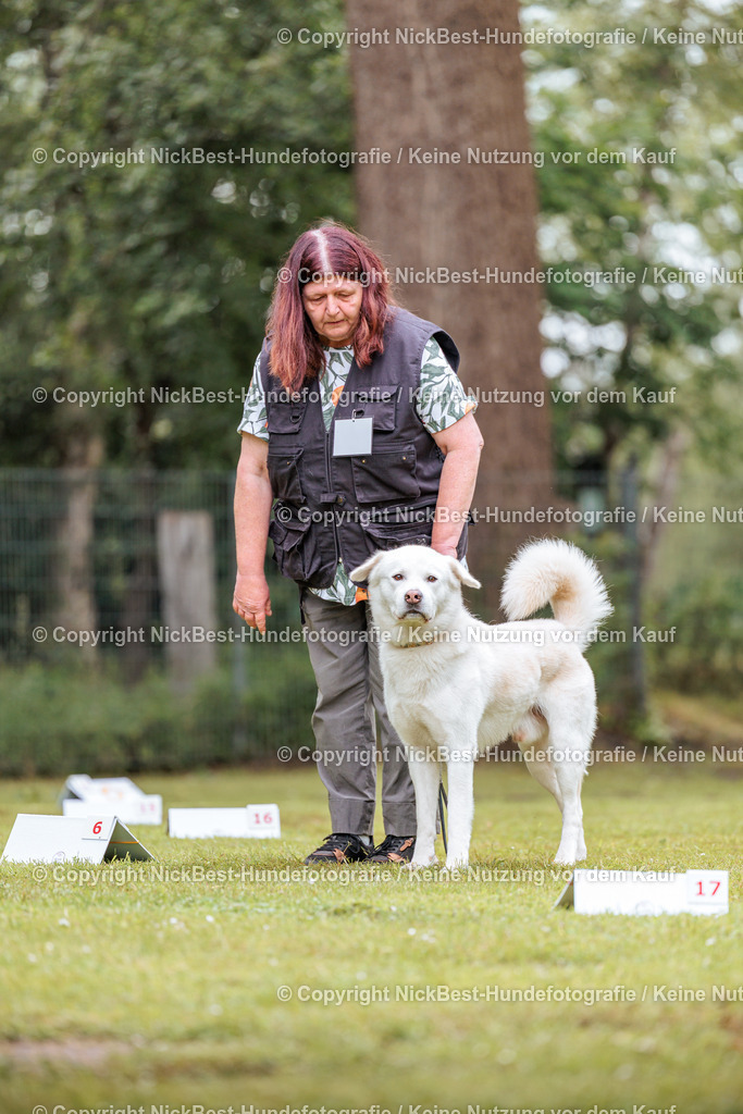 RO-Blumenthal-2026-Nickbest-Hundefotografie-5017 | Dein Hund! Dein Moment! Deine Erinnerungen! Hundefotografie in Bremen Blumenthal. Ich fange die besonderen Momente deines Vierbeiners ein – ob Indoor mit Blitzanlage oder in der freien Natur. Sicher dir dein Moment und dein Termin für eure Erinnerungen.