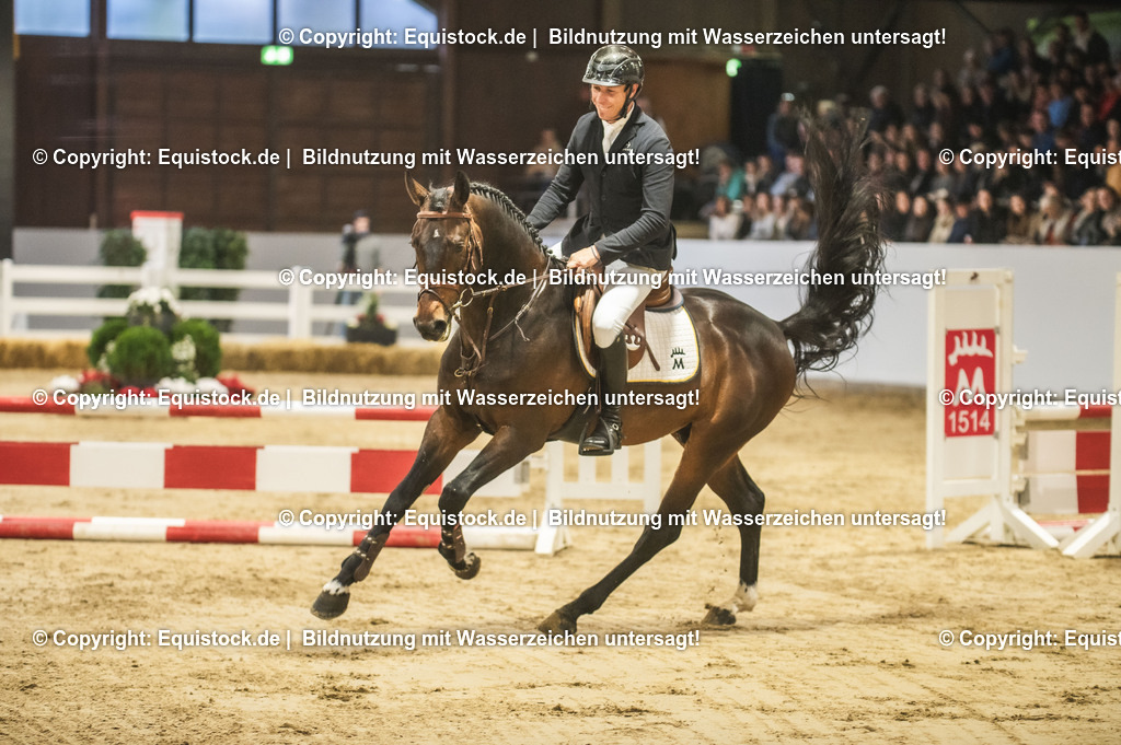 20240302_Hengstvorstellung_Marbach_TOMsPiC_0231 | equistock