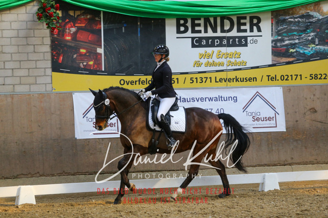 IMG_2584 | Turnierfotos kaufen im Webshop von Daniel Kuhl Photography – entdecke professionelle Reitsportfotos aus Turnieren & Events. Hochwertige Turnierbilder online bestellen & sichern. Jetzt Fotos von Reitsportturnieren kaufen!