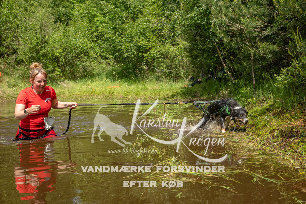 1240DKK993268 | kk-dogfotos