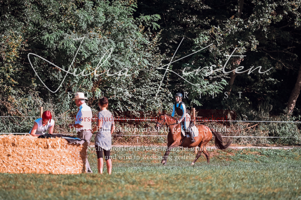 DSC_0686 | Pferde- und Turnierfotografie in Westsachsen. Pferdeportraits, Auftragszeichnungen und intuitive Kunst.