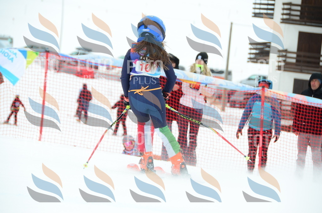 DSC_0705 | holidayphoto