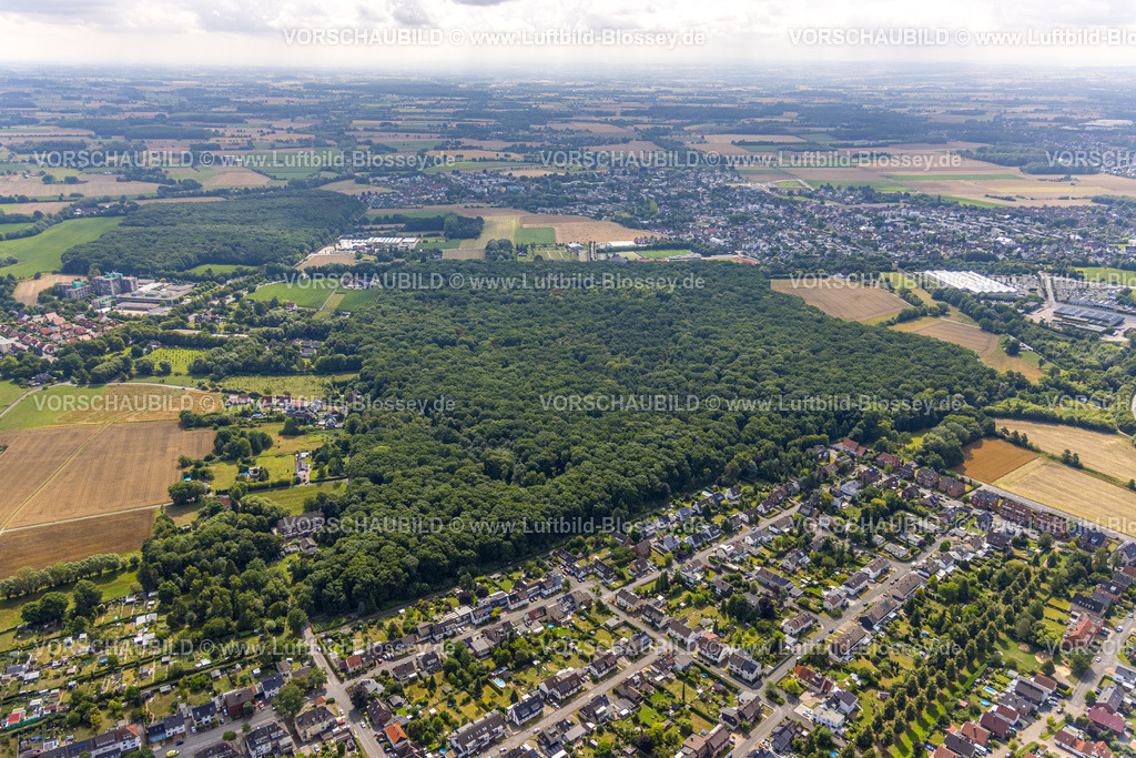 Hamm250700805Mitte | Luftbild, Pilsholz Waldgebiet und Waldsiedlung an der Wichernstraße, Stadtbezirk Rhynern, Hamm, Ruhrgebiet, Nordrhein-Westfalen, Deutschland