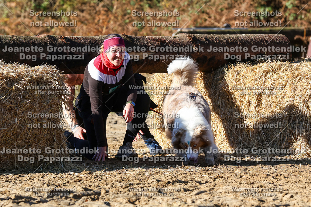 Dog Paparazzi - Strongdog 10-25-1833 | Dog Paparazzi Jeanette Grottendiek Fotografie & Videografie - Realisiert mit Pictrs.com