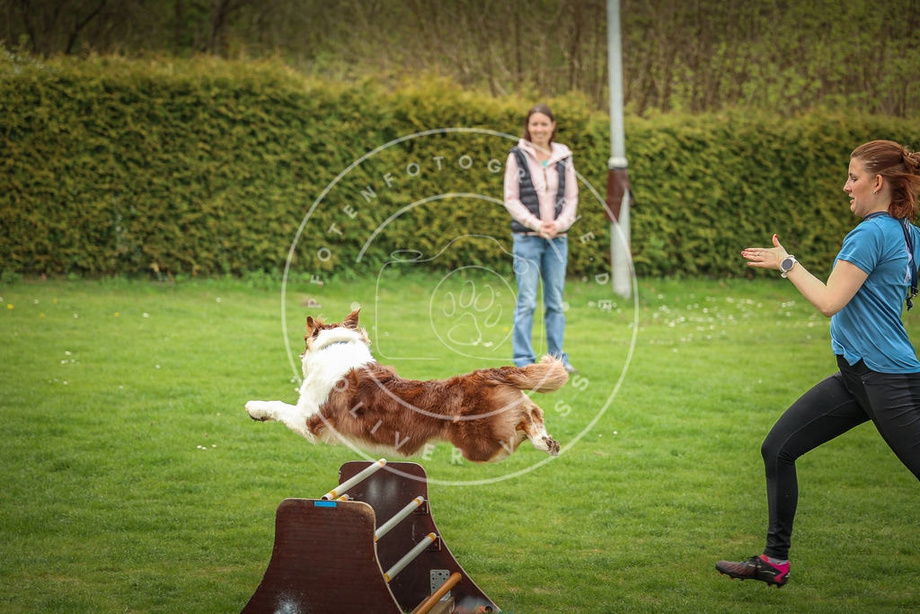 Pfotenfotografie_0L8A9757 | Hundefotografie, Tierfotograf, Pfotenfotografie, Fotoshooting Hund, Hunde Portrait, Hundesport, Hundeportraits, Heideshooting, Hunde, Sportfotograf, Hundefotograf, Turnierhundsport, THS,  - Realisiert mit Pictrs.com
