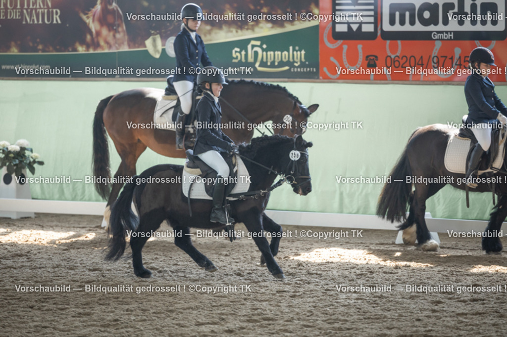 _D5A8973 | Emotionale Pferde- & People-Fotografie rund um Heidelberg, Leimen & Umgebung. Natürliche Fotos von Pferd, Mensch & Familie. Jetzt Termin sichern!