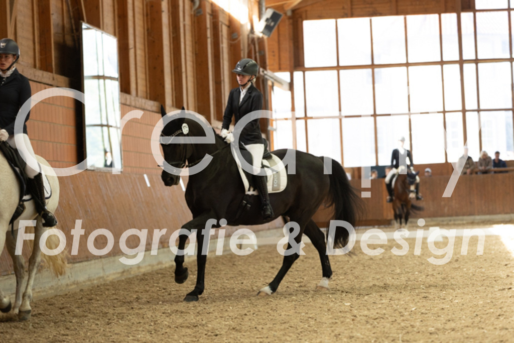 IMG_4966 | Creatify Fotografie