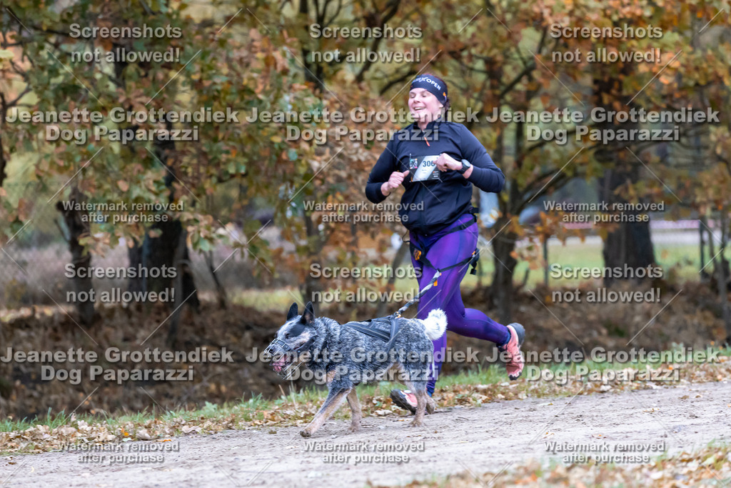 Dog Paparazzi - SD CaniX Championship 2025-563 | Dog Paparazzi Jeanette Grottendiek Fotografie & Videografie - Realisiert mit Pictrs.com