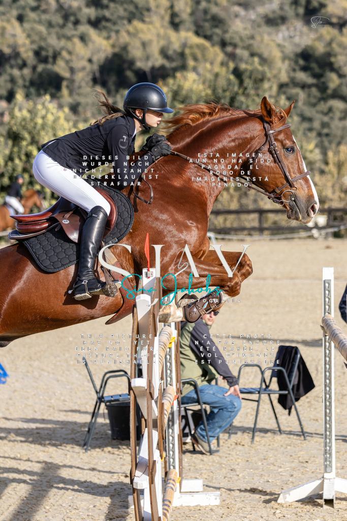 IMG_0392 | s-jay-photography - Realisiert mit Pictrs.com