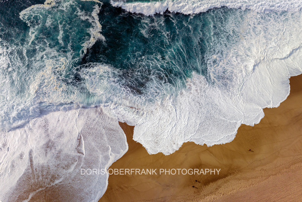 Ocean flower | Nazaré: Ocean flower - Realisiert mit Pictrs.com