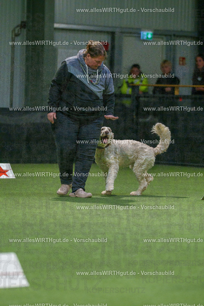 7R507547 | Professionelle Tierfotografie in Mönchengladbach von Daniel Wirth (allesWIRTHgut). Liebevolle & natürliche Bilder von Hunden & Katzen für unvergessliche Erinnerungen.