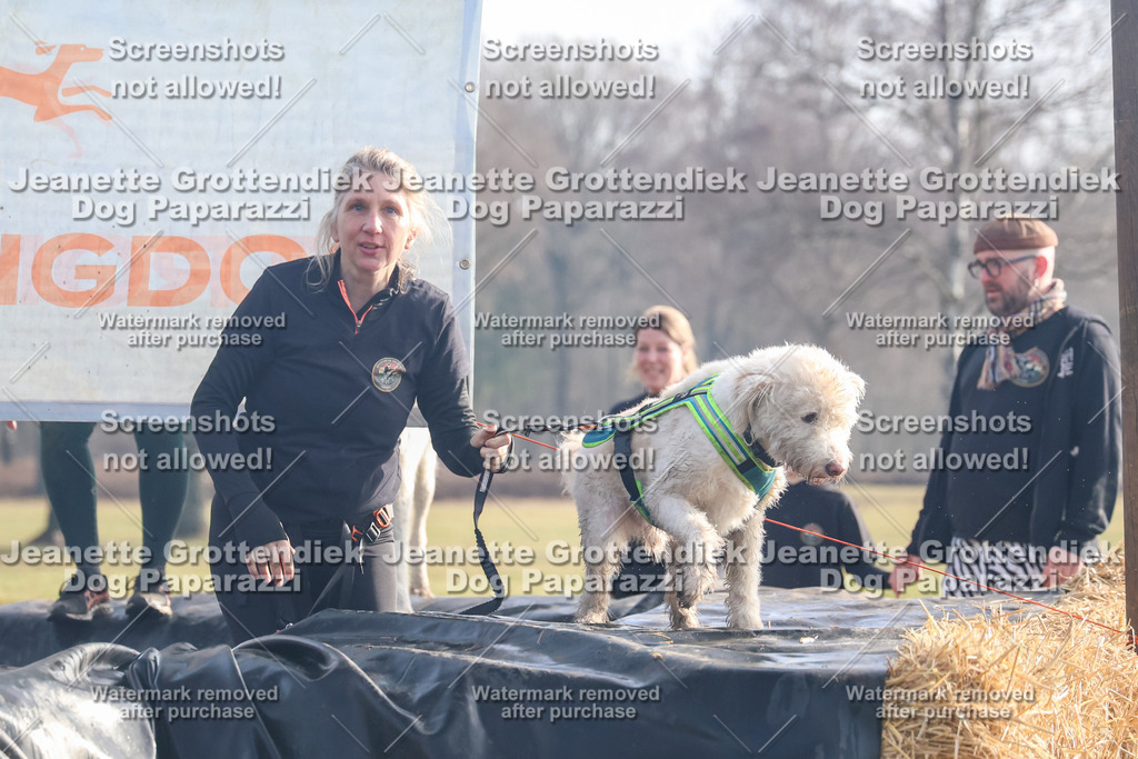 Dog Paparazzi - Strongdog North Mrz26-253 | Dog Paparazzi Jeanette Grottendiek Fotografie & Videografie - Realisiert mit Pictrs.com