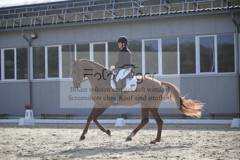 DOS_2713 | Entdecke hochwertige Reitturnierfotos von Foto Oger. Professionell, emotional und authentisch – jetzt Lieblingsmomente im Shop bestellen.Deutschlandweite Turnierfotografie. - Realisiert mit Pictrs.com