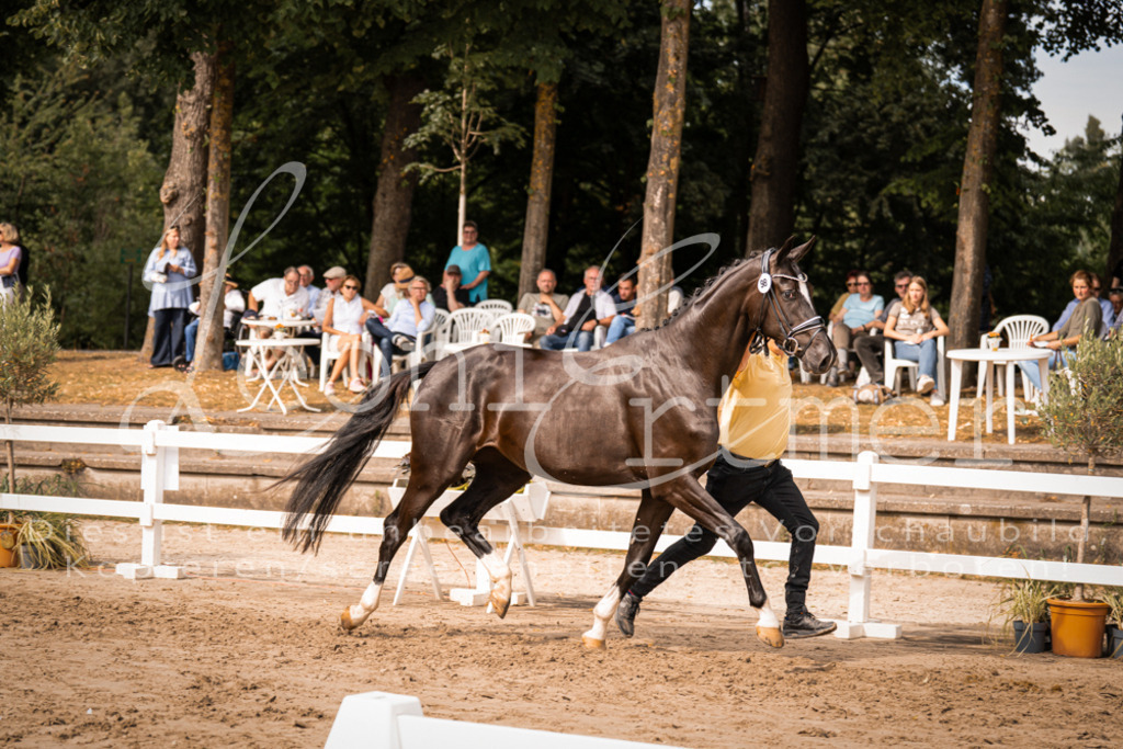 7.Fr00078 | Leoni Ertmer Photography - Realisiert mit Pictrs.com