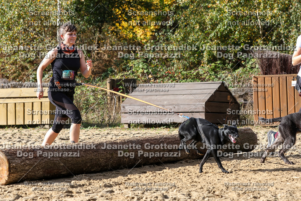 Dog Paparazzi - Strongdog 10-25-5510 | Dog Paparazzi Jeanette Grottendiek Fotografie & Videografie - Realisiert mit Pictrs.com