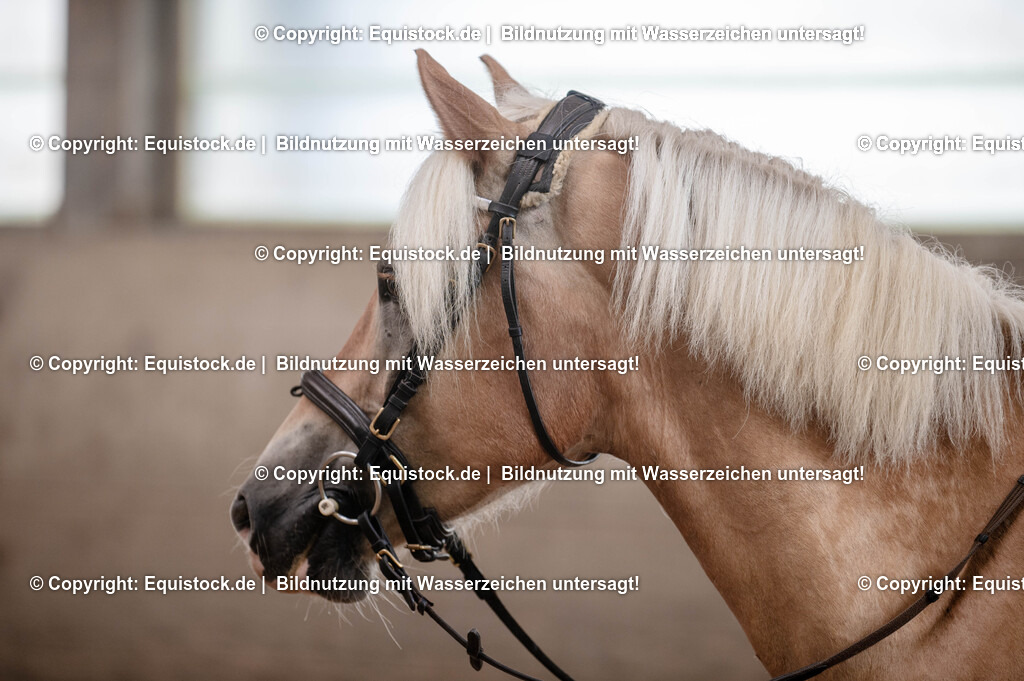 20250725_Vielseitigkeitslehrgang-Marbach_0253 | Foto: Thomas Hartig