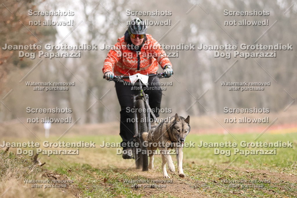 Dog Paparazzi - Plate 2026-61 | Dog Paparazzi Jeanette Grottendiek Fotografie & Videografie - Realisiert mit Pictrs.com