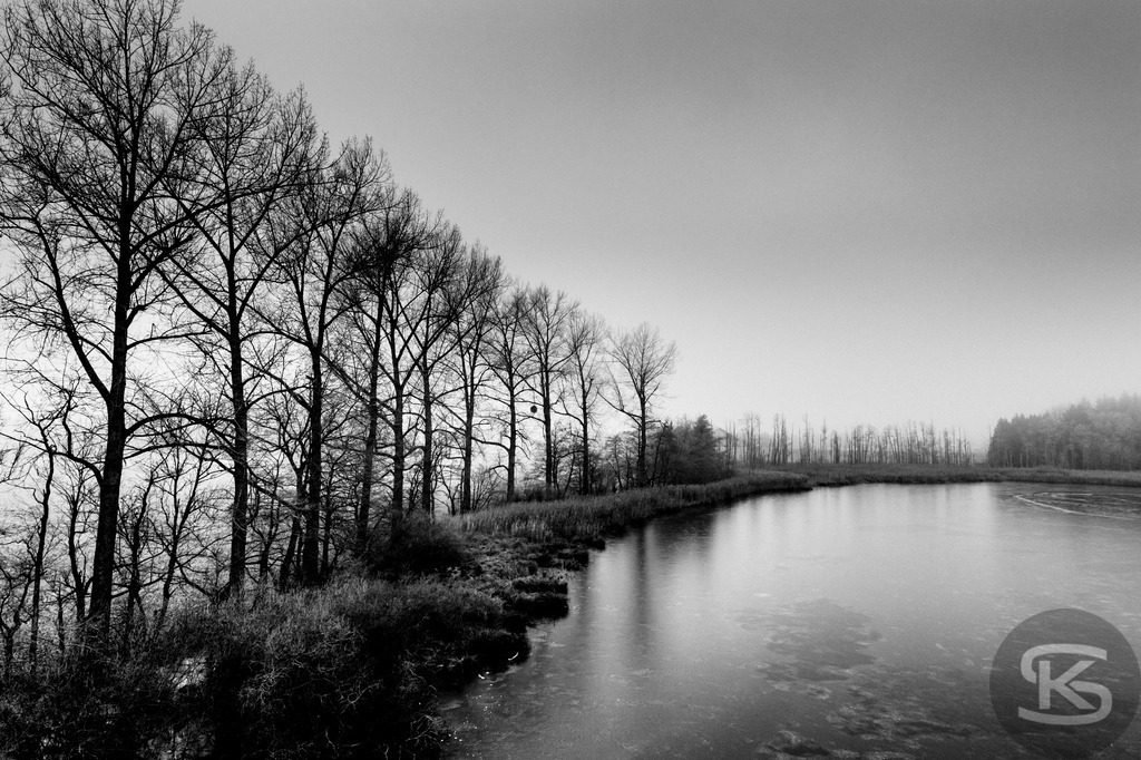 Im Nebel – Minimalistische Seelandschaften in Schwarzweiß | Reduzierte Schwarzweiß-Fotografie-Serie von nebelverhangenen Seelandschaften. Reduzierte Kompositionen mit Baumsilhouetten und diffusem Morgenlicht von Stefan Kuhn. Limitierte Fine Art Prints. - Realisiert mit Pictrs.com