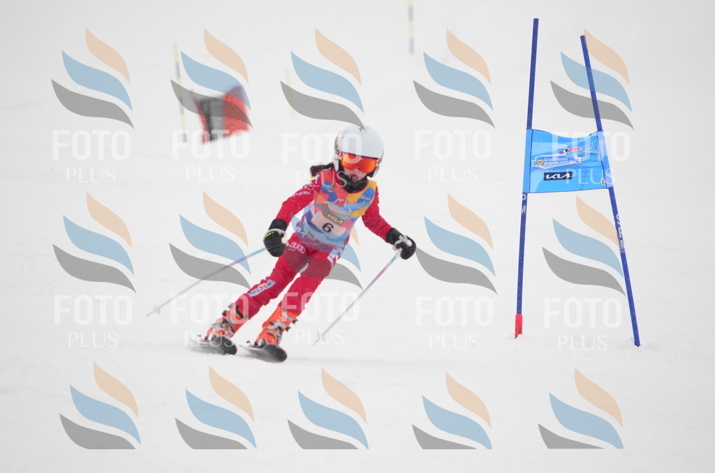 C0557 | holidayphoto