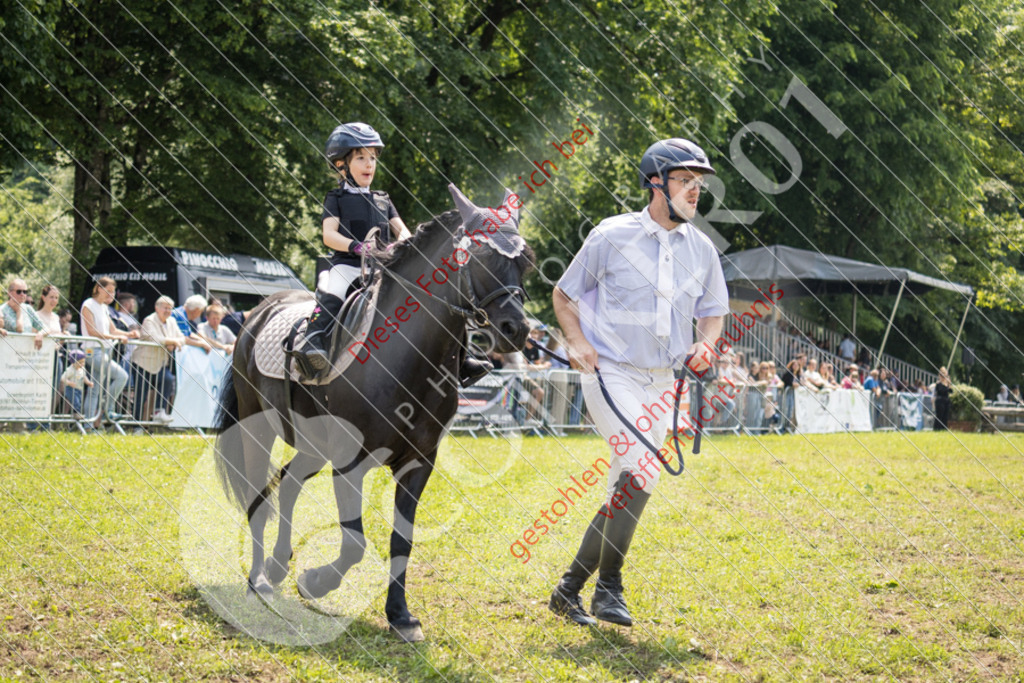 IMG_0246 | Sport-, Event- und Tierfotos in Profiqualität. Einfach auswählen, bestellen und herunterladen. Dein Moment – perfekt festgehalten.