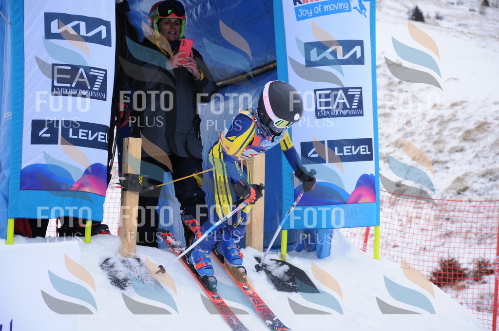 DSC_7870 | holidayphoto