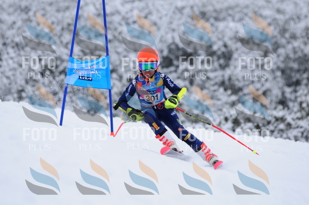 C3186 | holidayphoto