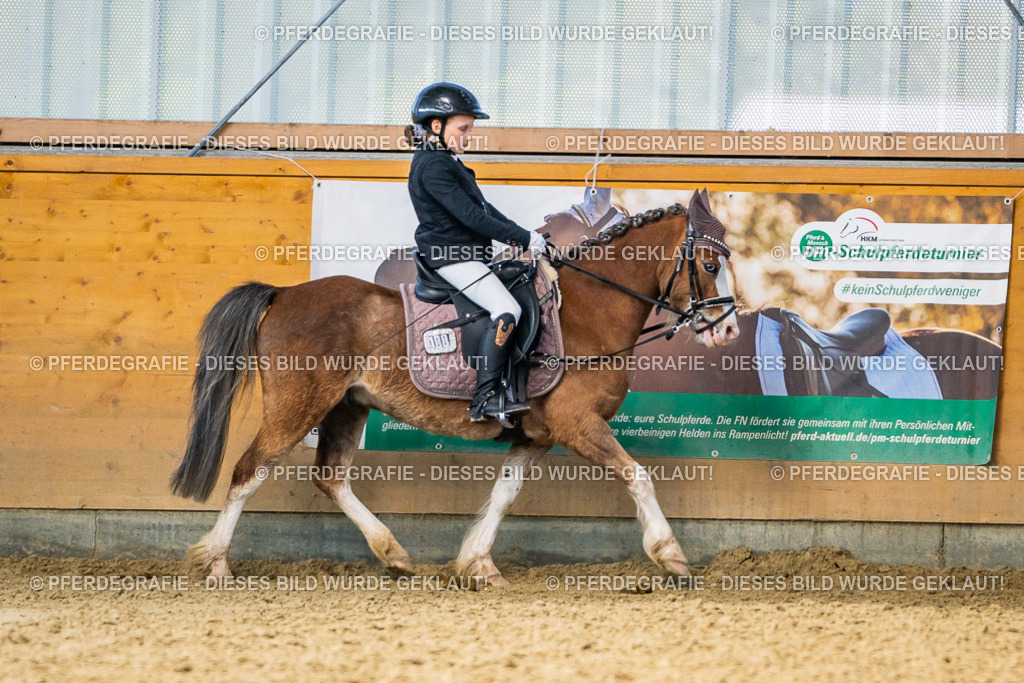 DSC02903 | Pferdegrafie