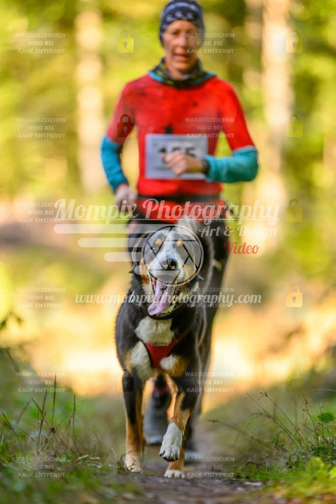 MompixPhotography_Yens2025_B3-104 | PayLife