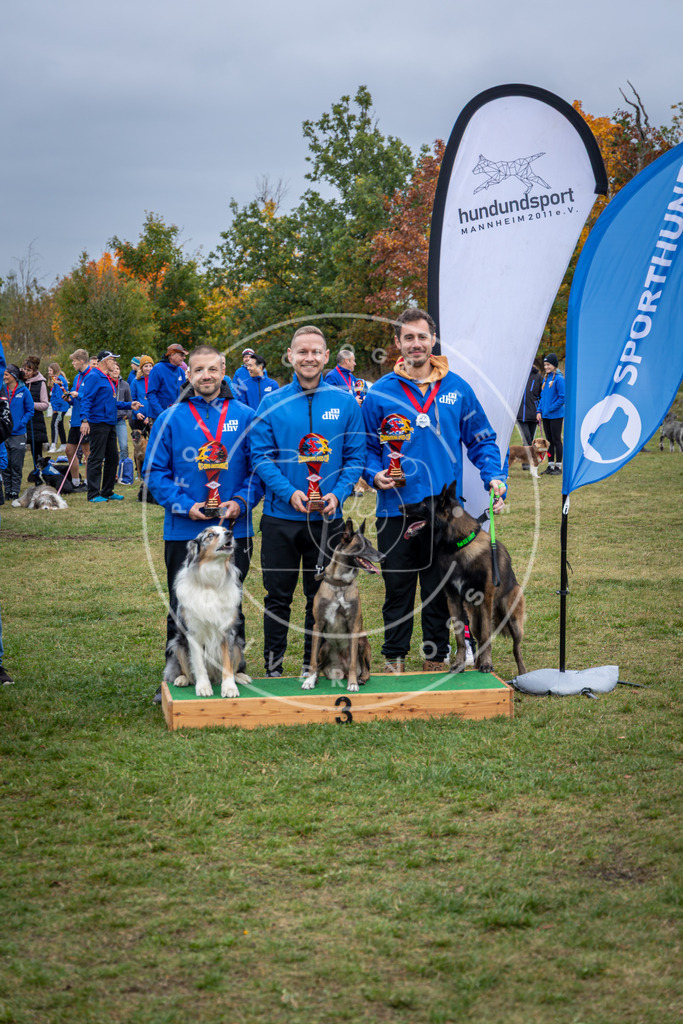 Pfotenfotografie_0L8A0709 | Hundefotografie, Tierfotograf, Pfotenfotografie, Fotoshooting Hund, Hunde Portrait, Hundesport, Hundeportraits, Heideshooting, Hunde, Sportfotograf, Hundefotograf, Turnierhundsport, THS,  - Realisiert mit Pictrs.com