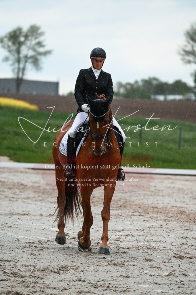 DSC_4417 | Pferde- und Turnierfotografie in Westsachsen. Pferdeportraits, Auftragszeichnungen und intuitive Kunst.