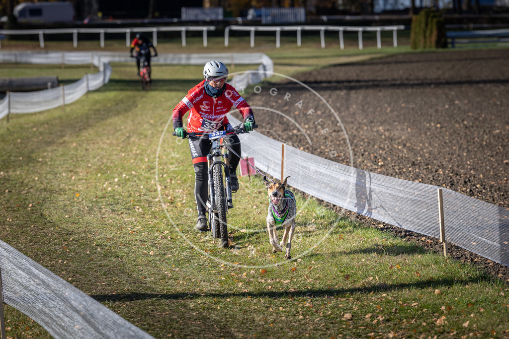 CaniXpix_DV3A6813 | Hundefotografie, Tierfotograf, Pfotenfotografie, Fotoshooting Hund, Hunde Portrait, Hundesport, Hundeportraits, Heideshooting, Hunde, Sportfotograf, Hundefotograf, Turnierhundsport, THS,  - Realisiert mit Pictrs.com