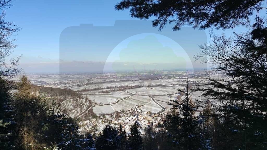 IMG_20210211_145114 | pfalznatur - Realisiert mit Pictrs.com