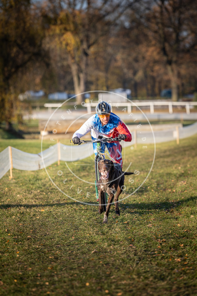 CaniXpix_DV3A0687 | Hundefotografie, Tierfotograf, Pfotenfotografie, Fotoshooting Hund, Hunde Portrait, Hundesport, Hundeportraits, Heideshooting, Hunde, Sportfotograf, Hundefotograf, Turnierhundsport, THS,  - Realisiert mit Pictrs.com