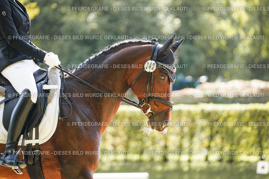 DSC07169 | Pferdegrafie