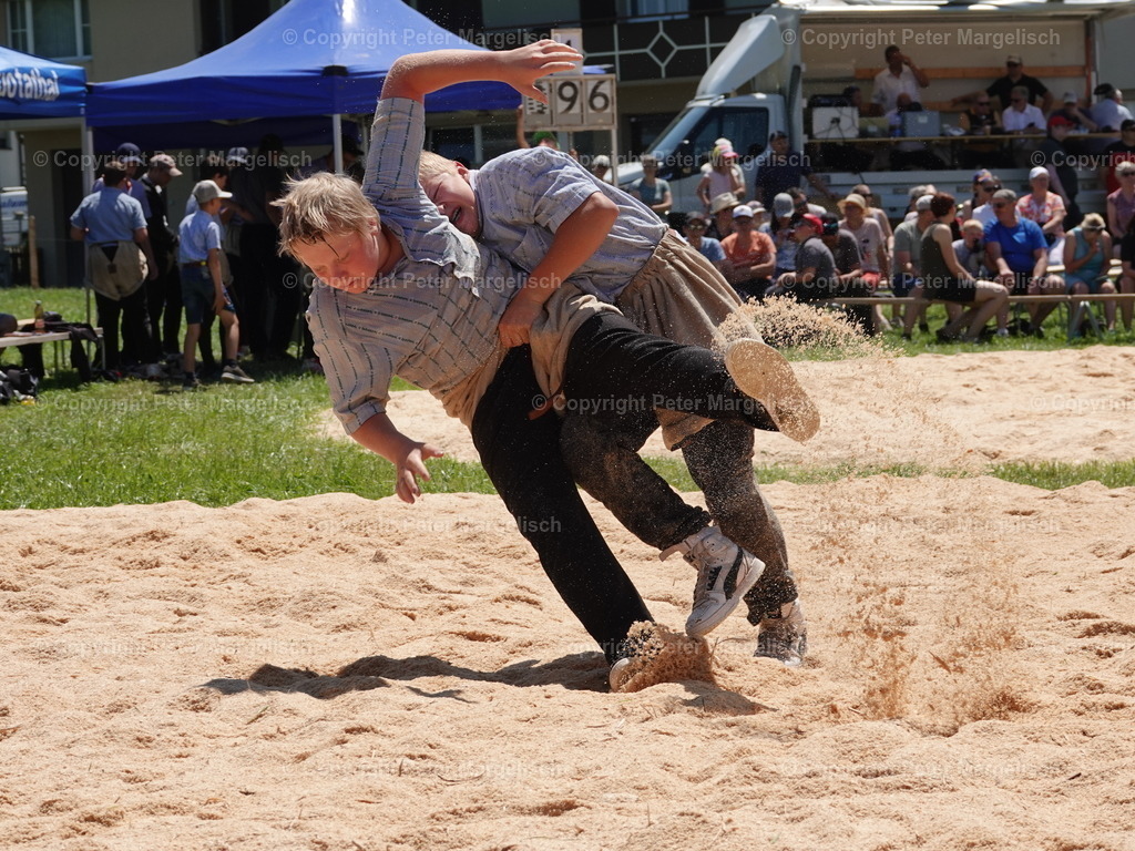 DSC04744 | Schwingen - Realisiert mit Pictrs.com