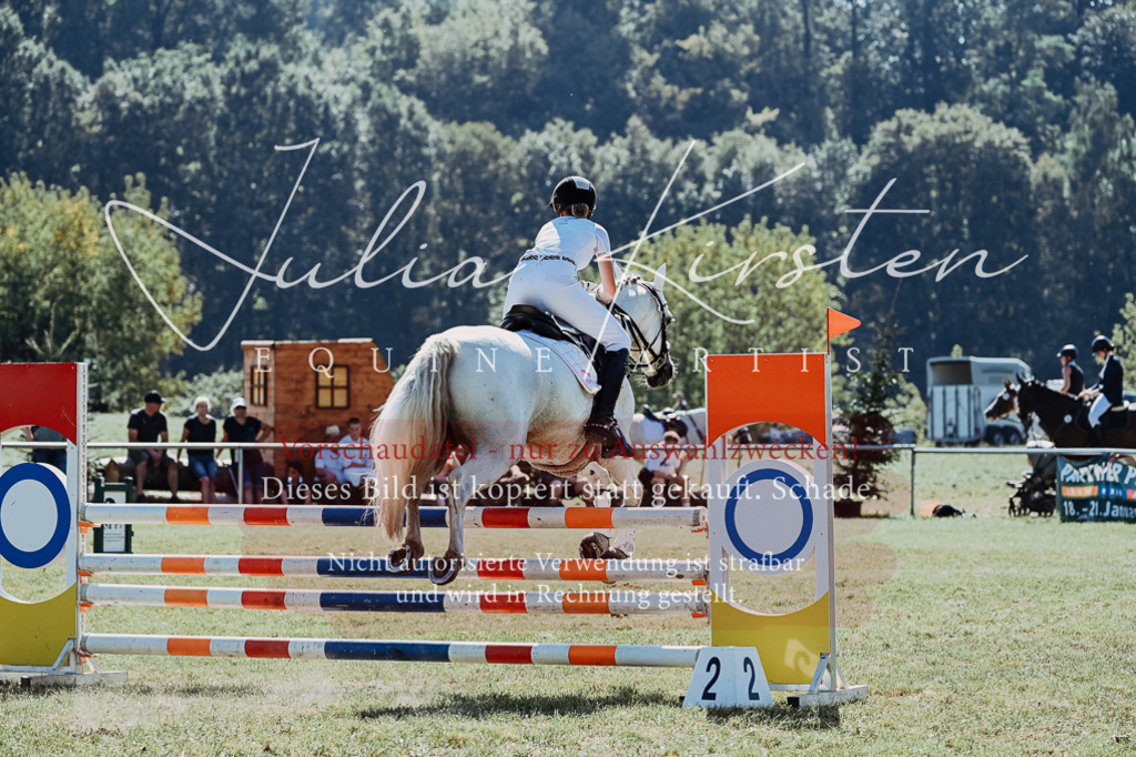 DSC_6079 | Pferde- und Turnierfotografie in Westsachsen. Pferdeportraits, Auftragszeichnungen und intuitive Kunst.