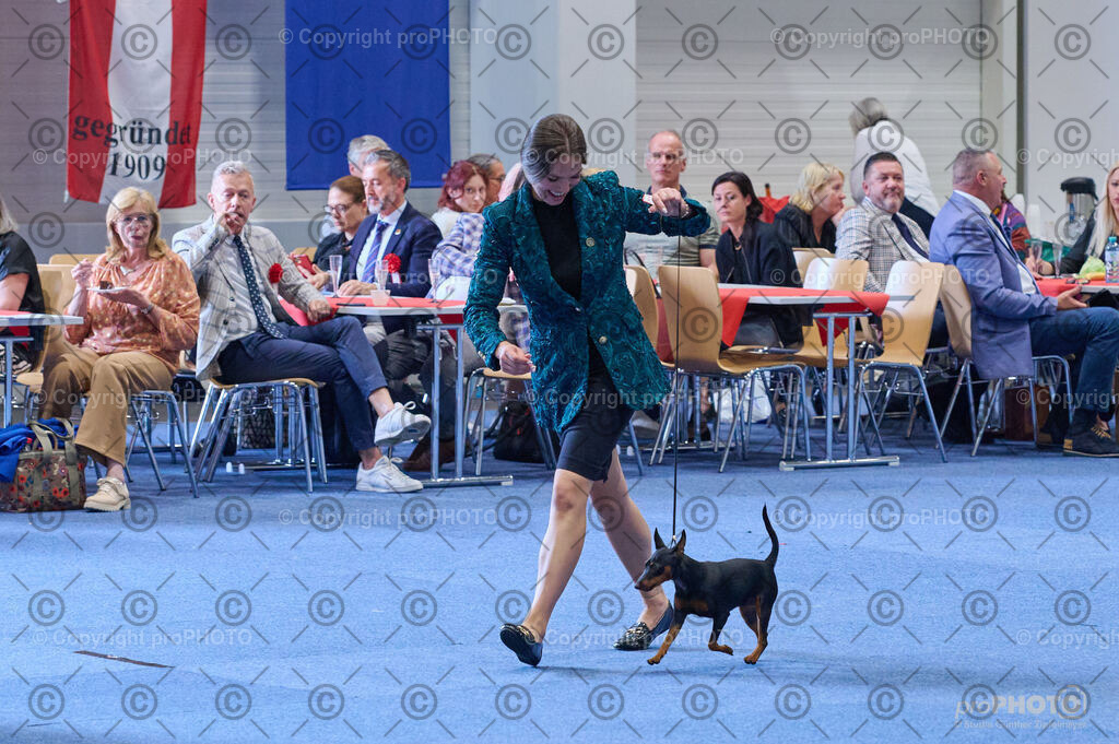 202406_ÖKV-IHA-Tulln24_DSC_4837 | proPHOTO - Realisiert mit Pictrs.com