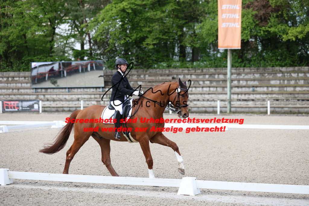 A40A0129 | lmwpictures - Realisiert mit Pictrs.com