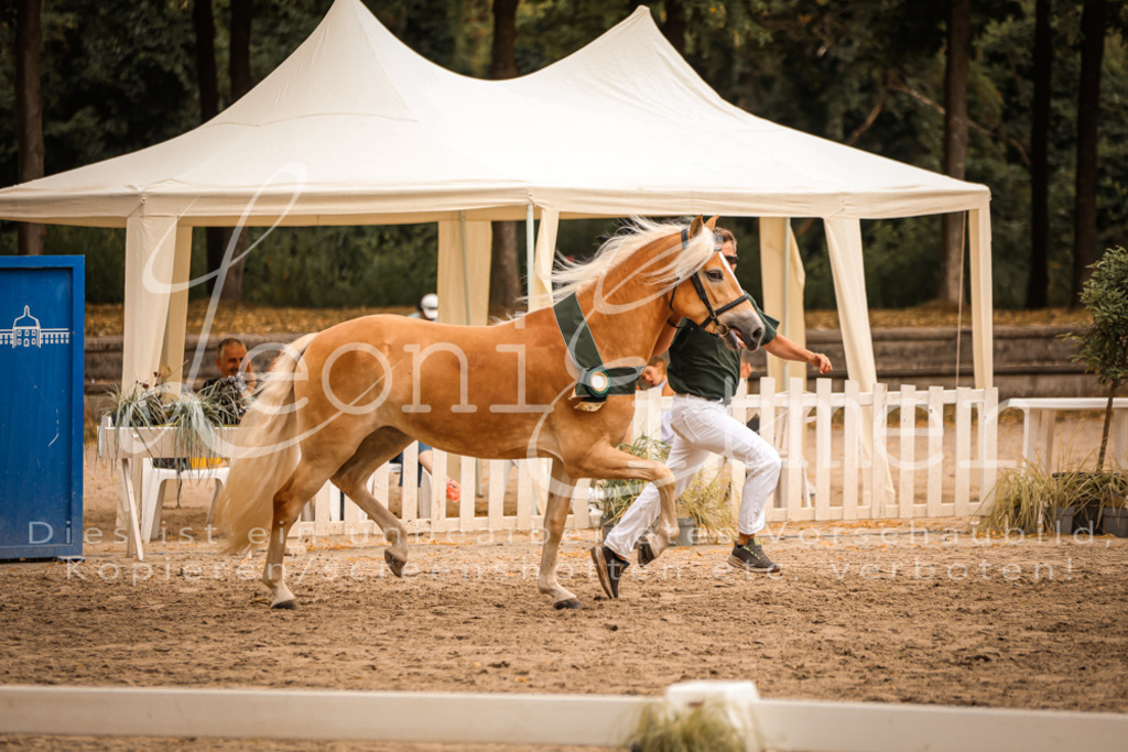 06.So00165 | Leoni Ertmer Photography - Realisiert mit Pictrs.com